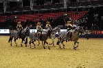 Quadrille - 00851